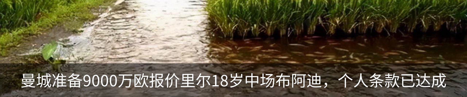 内页banner